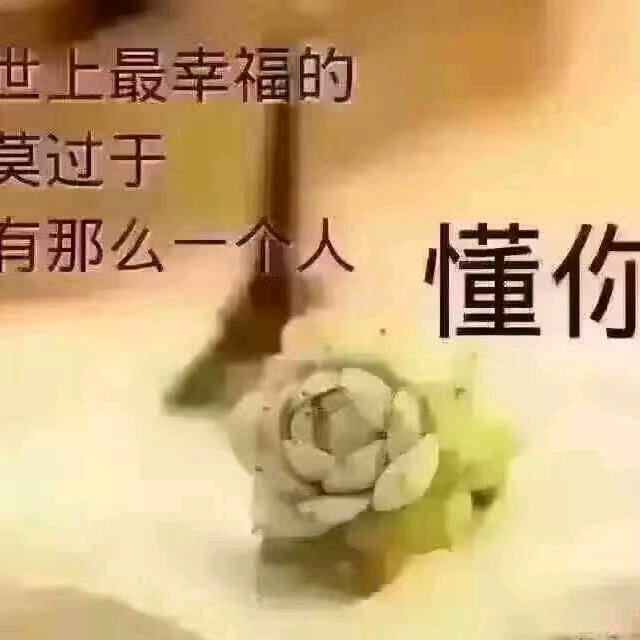 前世欠你的情泪简谱_前世欠你的情泪 歌曲简谱