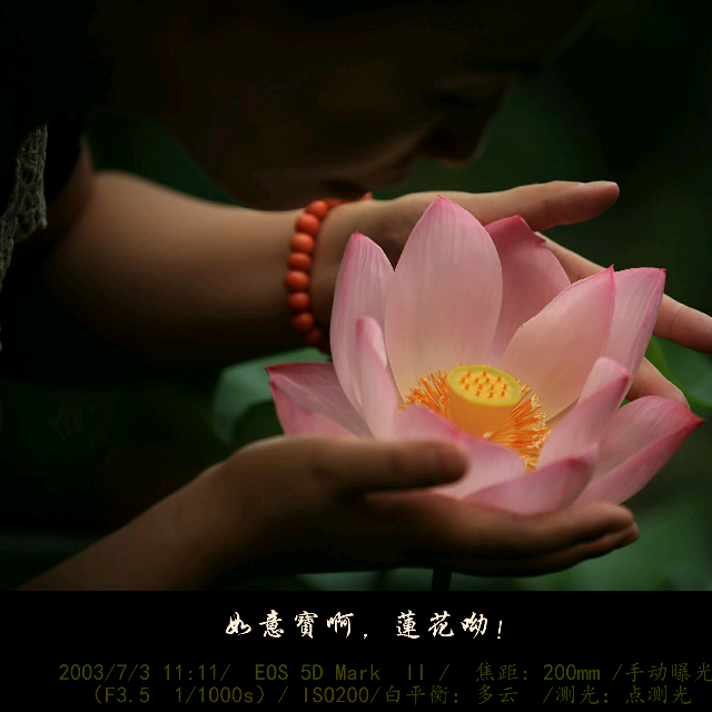 来生愿做一朵莲笛子简谱_笛子 来生愿做一朵莲 ,美美美,太美了