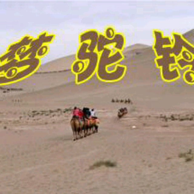 梦驼铃dj