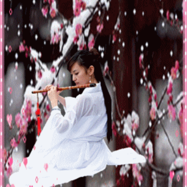 梅花泪曲谱大全_梅花泪图片大全大图(2)